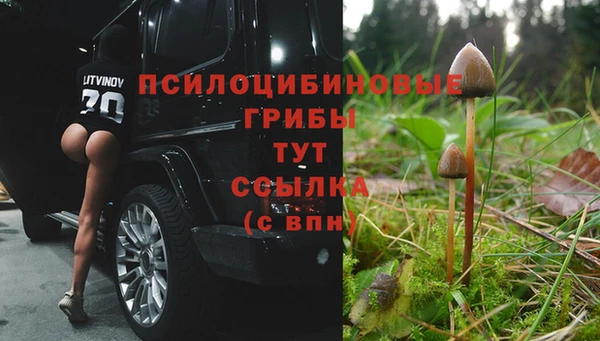 mdpv Балахна