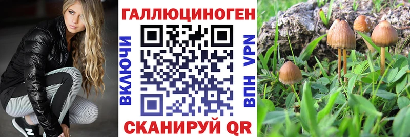 Псилоцибиновые грибы мицелий  Вязьма 